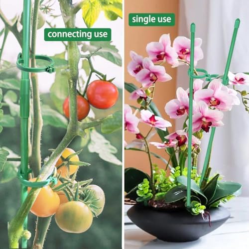 Belit 8 Pack Plant Supports for Small Plants, Garden Flowers Green Plant Support Ring, Planter Support Ring for Schlumbergera, Clivia, Succulents