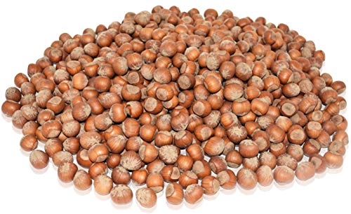 Anna and Sarah Large Oregon Hazelnuts in Shell in Box, 5 Lbs
