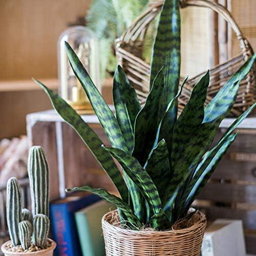 summer flower 23in Snake Plant Artificial Leaf Set 21pcs Faux Sansevieria Plant Leaves Tall Fake Snake Greenery Outdoor 4 Sizes for Indoor Home