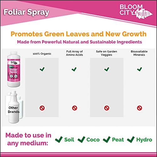Bloom City Supergreen Organic Kelp Foliar Spray – Liquid Plant Supplement for Faster Nutrient Uptake, Greener Leaves & Vigorous Growth, 32 oz