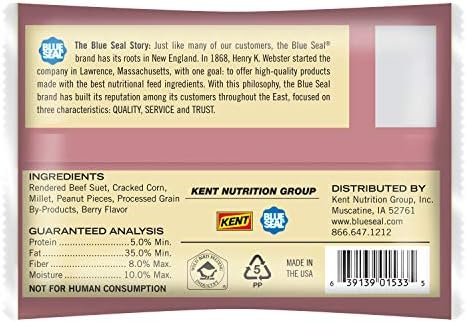 Blue Seal Nuts & Berry Suet Cakes for Wild Birds - No Mess Suet Feed, Food for Woodpeckers, Cardinals, Siskins, Sparrows & More - 11oz Suet Feeder