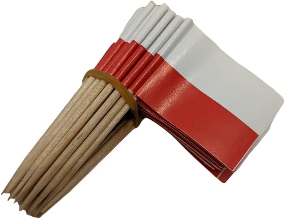 One Box of 100 Nicaragua Toothpick Flags, 100 Small Mini International Flag Cupcake Toothpicks or Cocktail Picks