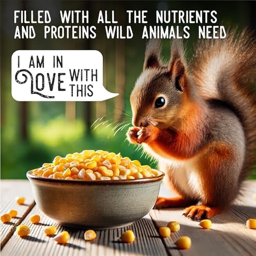 Ernst Grain & Livestock Whole Corn – Perfect Feed for Deer, Squirrels, Chickens, Ducks, Rabbits, Geese, and More! (46 Pound)