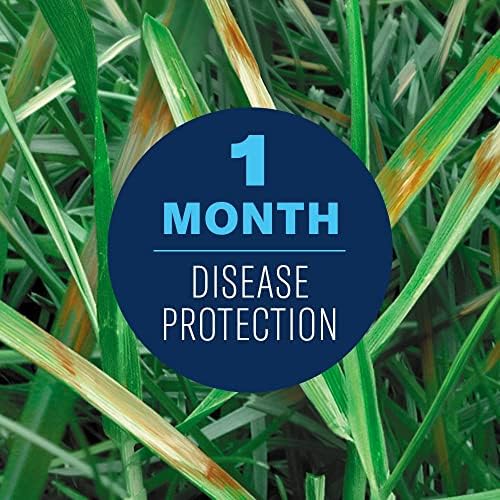 BioAdvanced Fungus Control for Lawns - 32 fl oz Bottle | Ready-to-Spray - Cures and Prevents Lawn Diseases - Up to 1 Month Protection - Covers 5,000 Square Feet