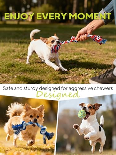 TwoEar Dog Rope Toy 4 Pack - Puppy Teething Toys for Small Breed