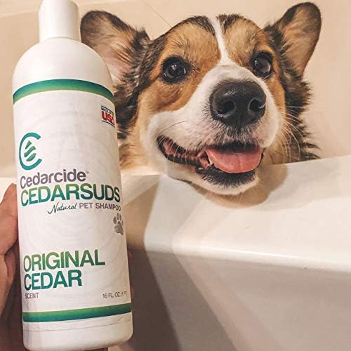 Cedar Suds Pet Shampoo Original Cedar Scent (Pint (16oz))