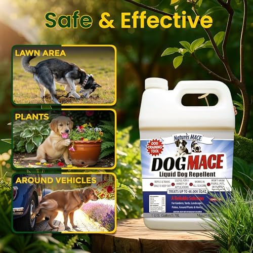 Nature's MACE Dog Mace Dog Repellent 1 Gallon Concentrate | Potty Training Tool Spray, Indoor & Outdoor, Pee Deterrent, Safe Around Kids, Pets, Garden & Plants, Treats 48,000 Sq. Ft.