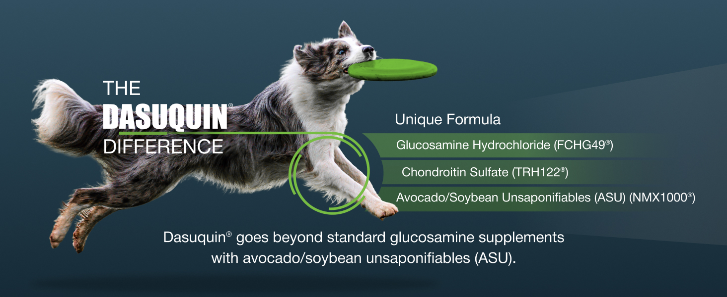 Joint health support for dogs
