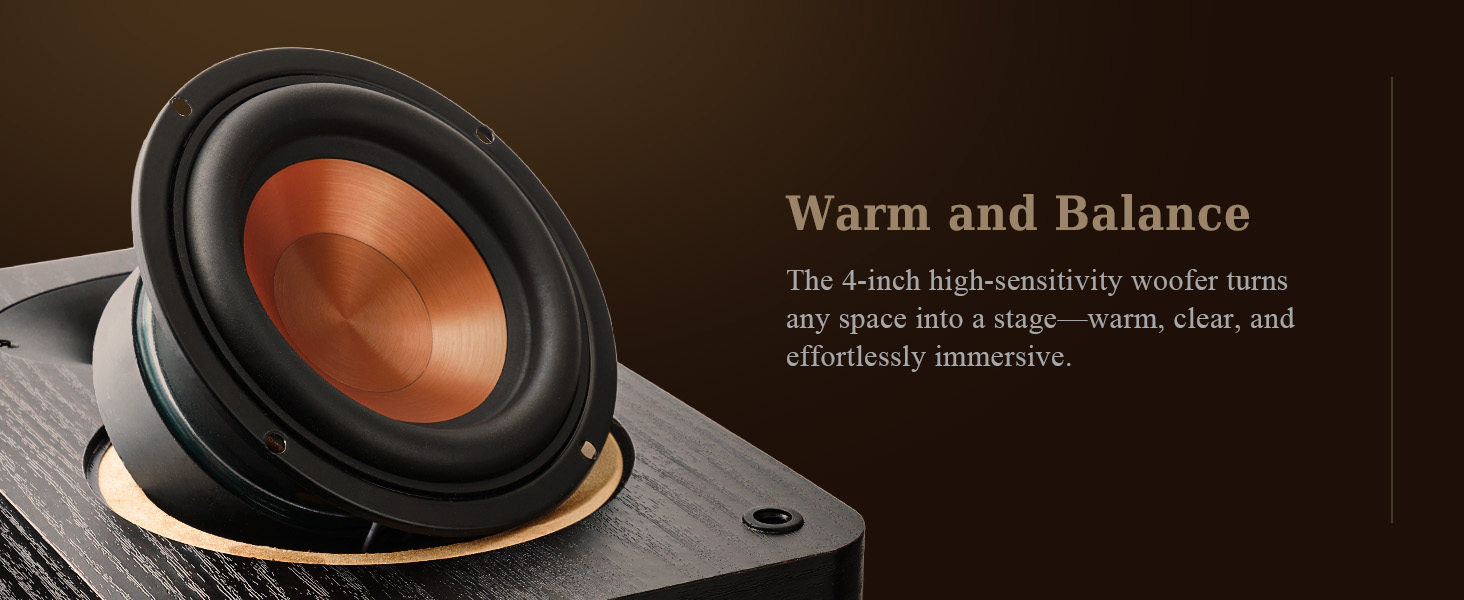 Passive Bookshelf Speakers