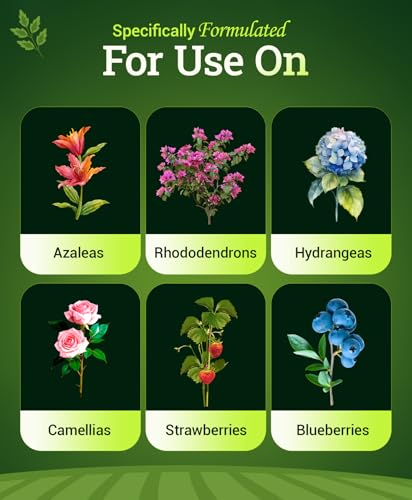 FoxFarm Happy Frog Acid Loving Plants Fertilizer - Slow Release Fertilizer for Azaleas, Rhododendrons