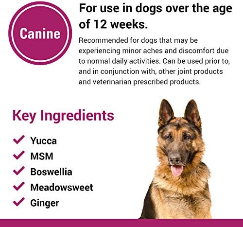 Pain Plus Extra Strength Health Supplement for Dogs - 120 Chewable Tablets