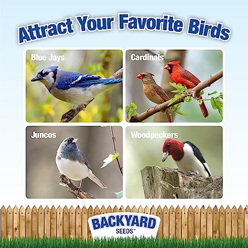 CountryMax Backyard Seeds Fiery Surprise Spicy Bird Seed Blend – Hot Cayenne Pepper Bird Seed – Squirrel Resistant Wild Bird Food (14 Pounds)