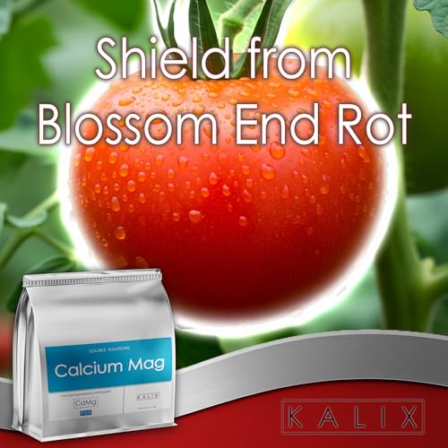 KALIX Calcium Mag | 9-0-0 + 15% Calcium + 3% Magnesium | Water-Soluble Supplement for Tip Burn, Leaf Curl & Nutrient Deficiency Prevention | for Soil