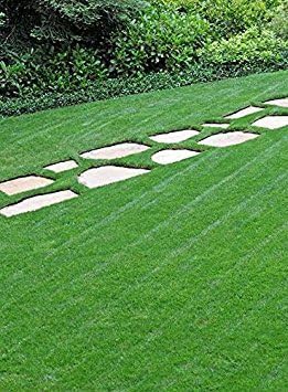 Triple Threat Selective Weed Killer Herbicide for Lawns and Turf - 1 Gallon Jug (Makes 64 Gallons)