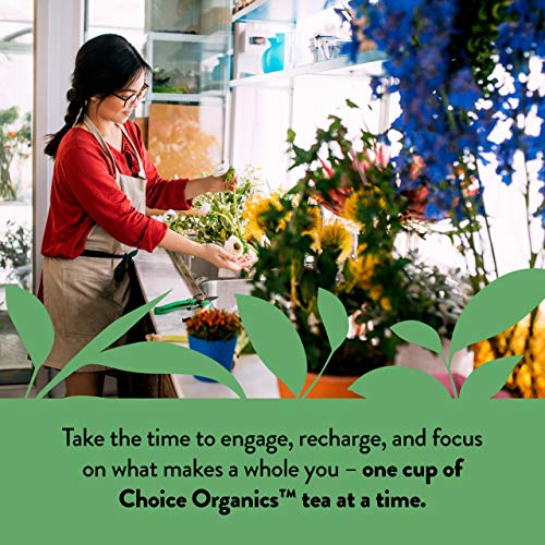 Choice Organics - Organic Japanese Green Tea (6 Pack) - Compostable - Contains Caffeine - 96 Organic Green Tea Bags