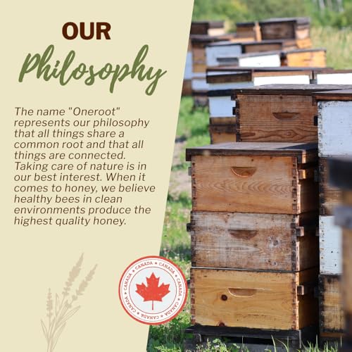 OneRoot Raw Buckwheat Honey – 500g / 17.6oz, Unheated & Unprocessed Dark – Nutrient-Rich, Antioxidant-Packed Natural Sweetener – Pure & Unfiltered Honey