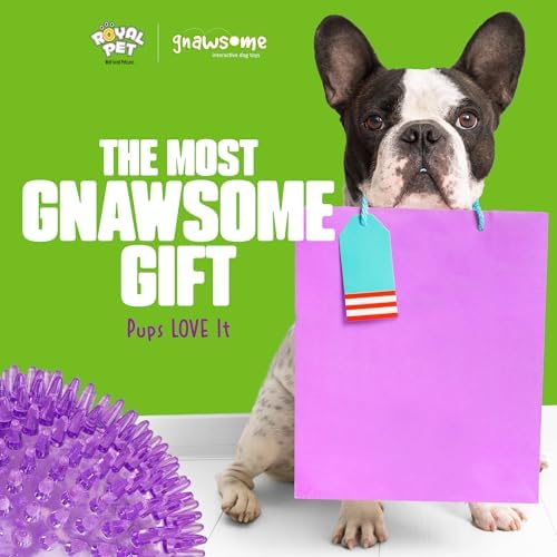 Gnawsome™ 4.5” Spiky Squeaker Ball Dog Toy - Extra Large, Cleans Teeth and Promotes Good Dental and Gum Health for Your Pet, Colors will vary