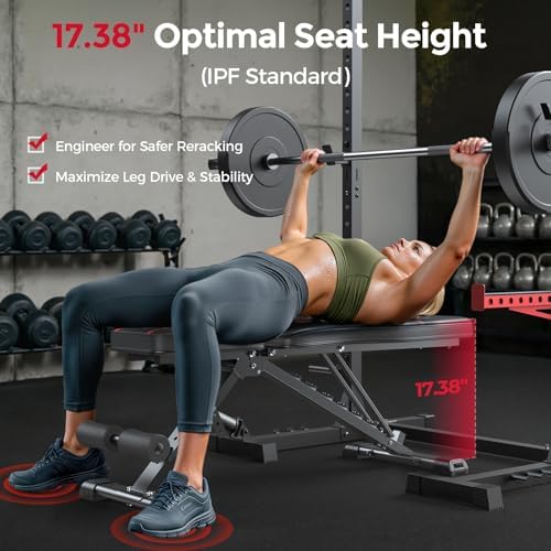 FLYBIRD WB2 Weight Bench, Adjustable Weight Bench for Full Body Workout