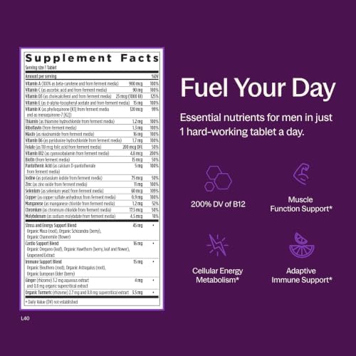 New Chapter Every Man's One Daily Multivitamin - Supports Immune, Energy & Bone Health* - Contains Fermented Ingredients, Organic Vegetables & Herbs - Vegetarian, Kosher & Gluten-Free - 48 Tablets