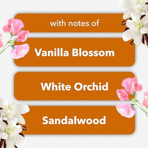Glade PlugIns Refills Air Freshener, Scented and Essential Oils for Home and Bathroom, Sheer Vanilla Embrace, 1.34 Oz, 2 Count