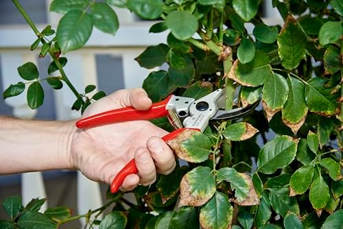 Corona Tools BP 4250 MAXFORGED Aluminum Bypass Pruner, 1-Inch Cut Capacity