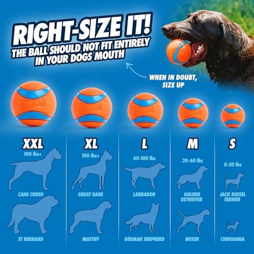 Chuckit! Ultra Ball Dog Toy - Size Large - For Dogs 60-100 lbs - Made from Durable Rubber - Super Bouncy - Floats in Water - 3-inch Diameter - Pack of 1