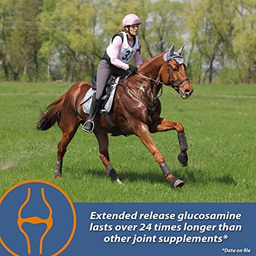 Farnam MaxFlex XR Extended Release Joint Supplement for Horses, Provides a continuous supply of joint health ingredients for 24 hours, 0.9375 pound