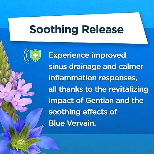 Natural Sinus Support – Serrapeptase, Elder Flower & Sheep Sorrel – Sinus Drainage, Nasal & Allergy Health