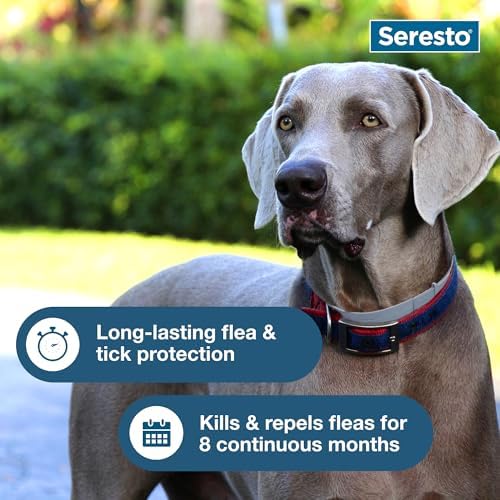 Seresto Large Dog for Dogs Over 18 lbs. & Seresto for Cats Vet-Recommended Flea & Tick Treatment & Prevention Collars | 8 Months Protection Each