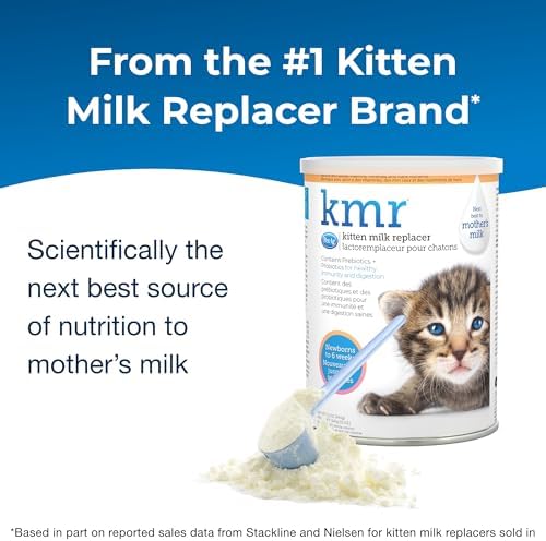 Pet-Ag KMR Kitten Milk Replacer Powder - 12 oz, Pack of 3 - Powdered Kitten Formula with Prebiotics