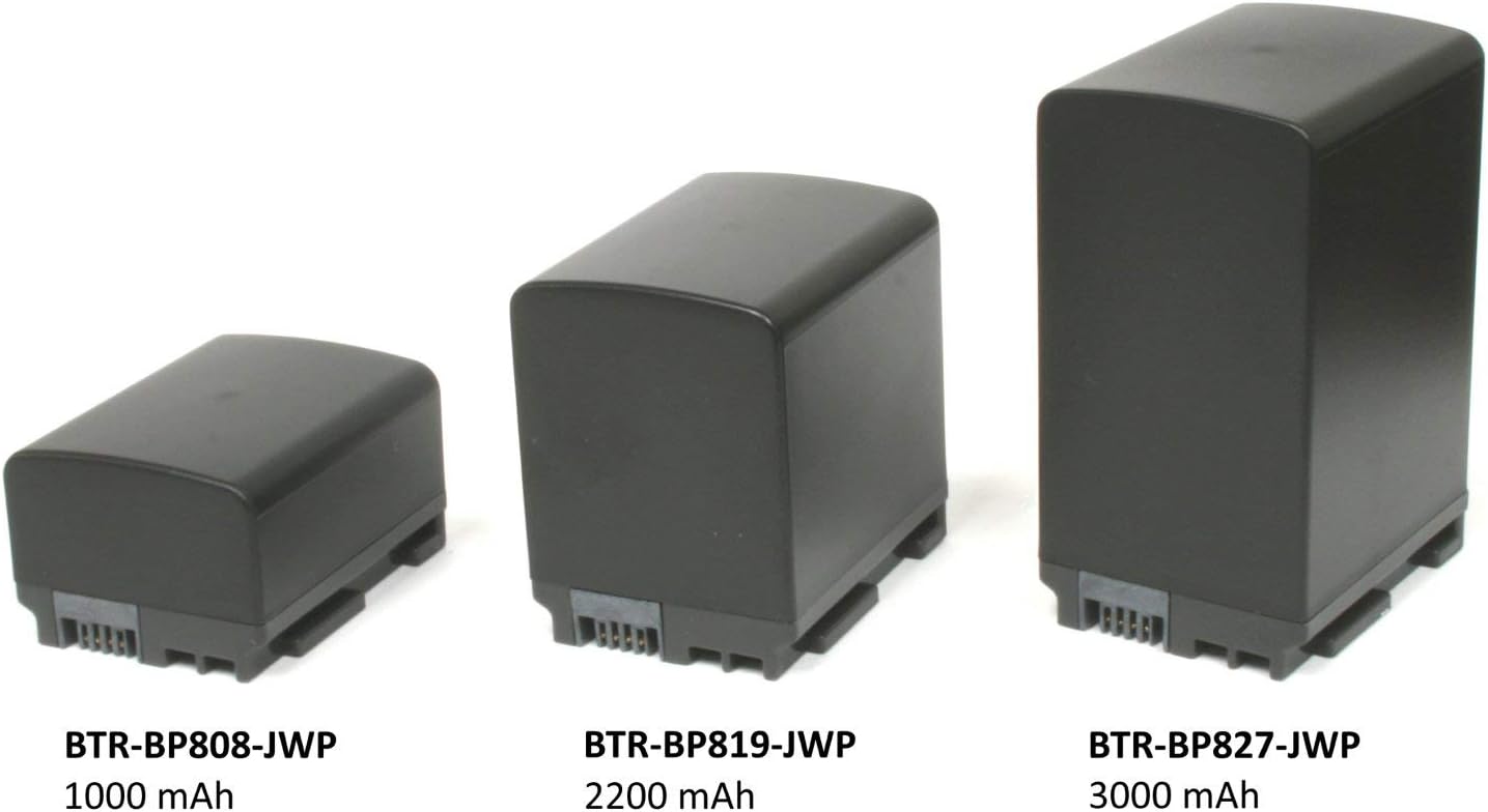 Wasabi Power Battery (2-Pack) and Charger for Canon BP-827 and Canon VIXIA HF20, HF21, HF200, HF G10, G20, M30, M31, M32, M40, M41, M300, M400, S10