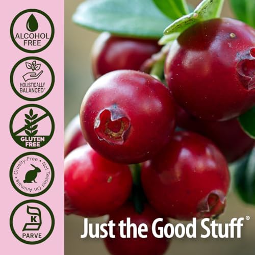 Nature's Answer Cranberry | Supports a Healthy Urinary Tract | Alcohol-Free, Gluten-Free, Kosher Certified