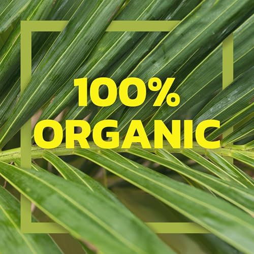 Native Forest Organic Papaya Chunks in Fruit Juice - 14 Ounce (Pack of 6) | Canned Organic Papaya Fruit, Non-GMO, Vegan
