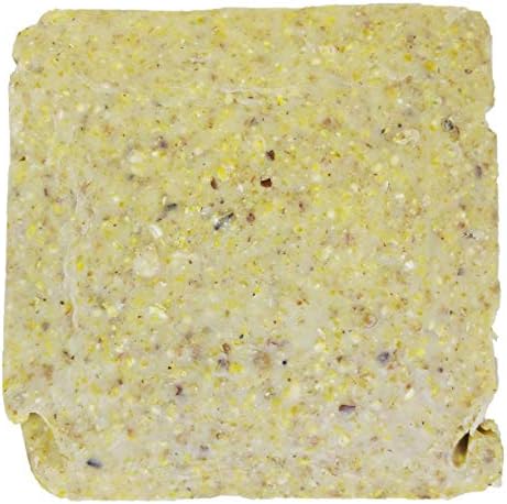 ST. ALBANS BAY SUET PLUS Suet Cake Variety Packs, 11 oz. Wild Bird Suet Cakes (High Energy, 10 Pack)