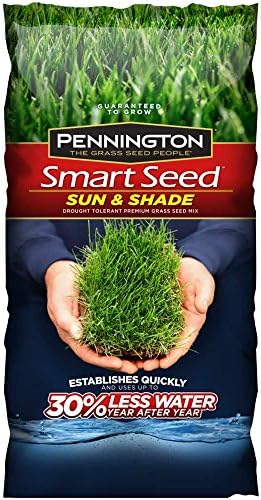Pennington 100086838 Smart Seed Sun and Shade North Premium Grass Seed Blend, 3-Pound