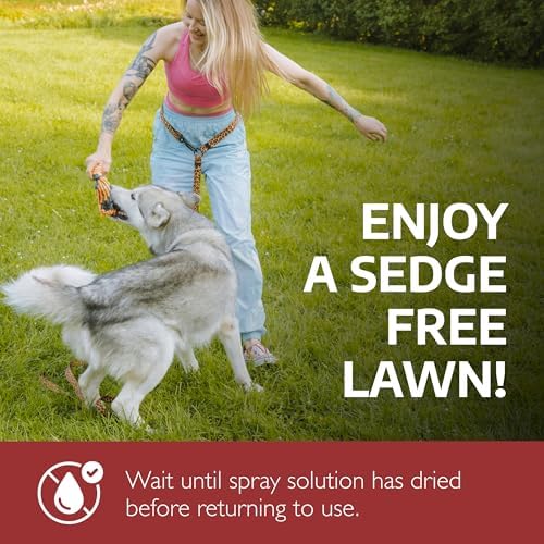 Sedgehammer Plus Turf Solution, 13.5 Grams, Nutsedge Control | Lawns, Golf Courses, Sports Fields, Vegetation Management