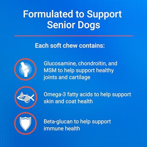 Nutramax Cosequin Dog Joint Supplement for Senior Dogs, Soft Chews, 60ct | Glucosamine + Chondroitin, MSM, Omega-3s, Beta-Glucan, Promotes Skin & Coat, Immune Health, Joint Support for Older Dogs