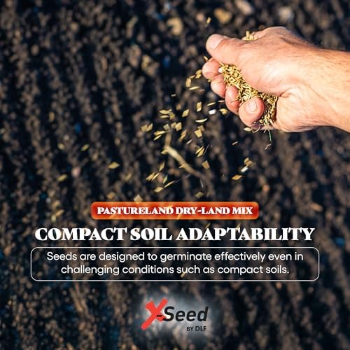 X-Seed Pasture Land Dry-Land Forage Seed Mixture with Micro-Boost – Tall Fescue Orchard Grass Ryegrass Endophyte Free Pasture for Safe Nutrition of Livestock, Formulated for Dry Areas – 25-Pound Bag