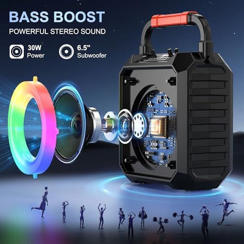 JYX Karaoke Machine for Adults & Kids with 2 Wireless Microphones, Portable Bluetooth Speaker with LED Lights, Supports USB/TF Card/AUX for Party