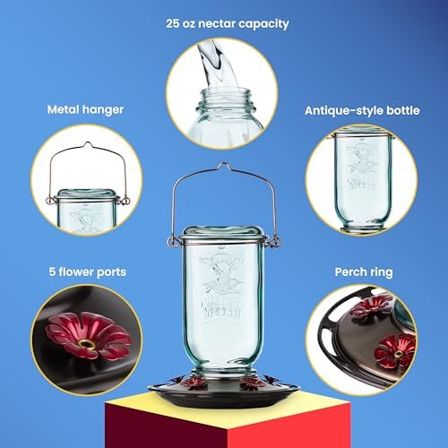 More Birds Mason Jar Hummingbird Feeder, Glass Hummingbird Feeders for Outdoors, 5 Feeding Stations, 25 Ounces