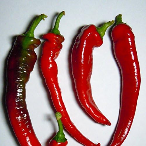 Jimmy Nardello's Heirloom Sweet Pepper Seeds