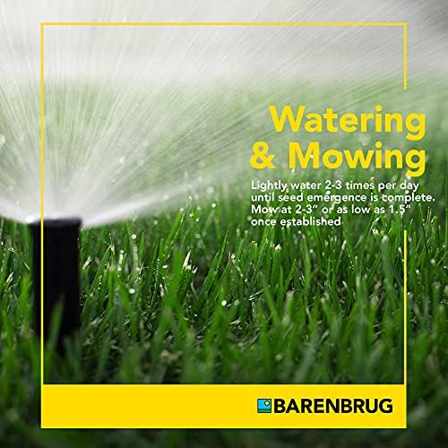 Barenbrug 25626 Turf Sense Athletic Field Grass Seed Grows in Areas of Sun and Partial Shade, 25 LB Bag