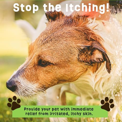 Dogs Plus Vitamin C Dog Shampoo | All Natural Dermatitis, Demodex Mange, & Hot Spot Treatment for Dogs | Fast and Effective Itch Relief (6 oz)