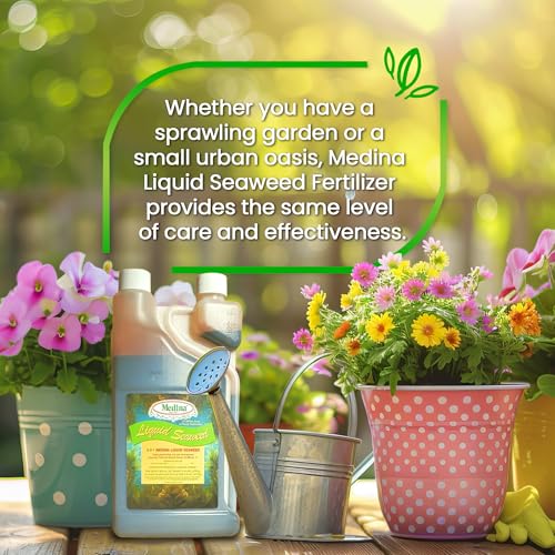 Medina Liquid Seaweed Fertilizer, 1 Gallon | For Plants, Concentrated, Lawn and Garden, Enhances Plant Growth and Soil Health, Ready to Spray, Covers 64000 Sq. Ft.