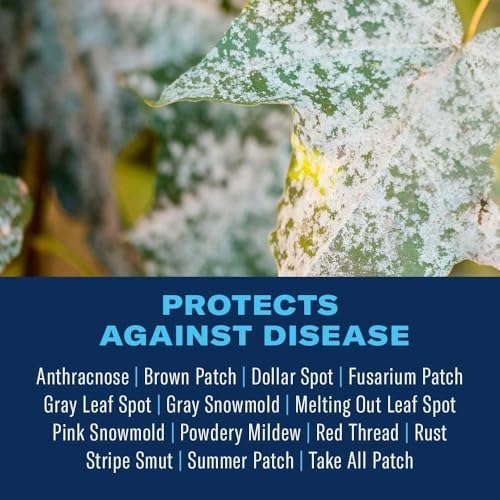 BioAdvanced Fungus Control for Lawns, Granules, 10 lb, Fungicide for Lawns | Cures and Prevents Lawn Diseases - Up to 1 Month Protection - Covers 5
