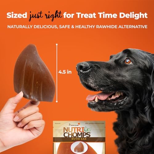 NutriChomps Rawhide-Free Dog Chews, Ear-Shaped, Chicken, 10 Count
