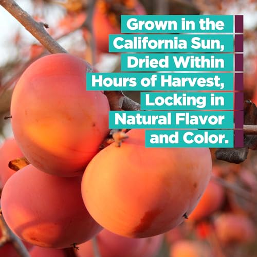 Organic Dried Persimmons from Bella Viva Orchards, 1 Lb. Bag