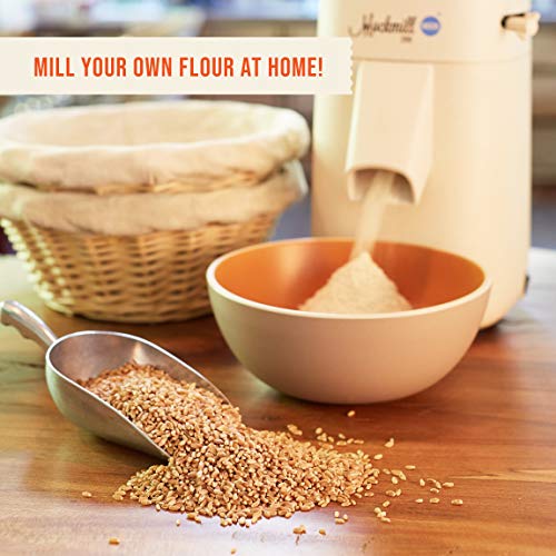 100% Organic Hard Red Spring Wheat Berries- 25 lbs