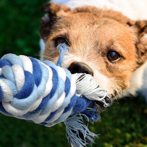 TwoEar Dog Rope Toy 4 Pack - Puppy Teething Toys for Small Breed