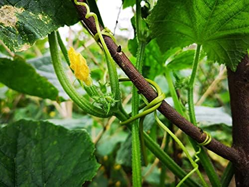 TIPU Soft Rubber Garden Rope Twine, Soft Hollow Stretchy Plant Support and Garden Twine, Green, 262 FT